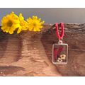 Tiny Red and White Flowers