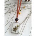 Petit fynbos