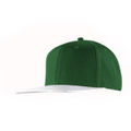 Bottle Green