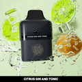 Citrus Gin & Tonic