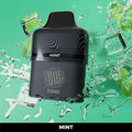 Mint Ice