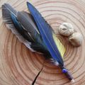 Smudge Feather 1