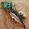 Smudge Feather 3