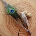 Smudge Feather 4