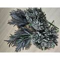Black Feather Leaf Bunch