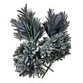 Black Feather Leaf Bunch