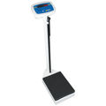MDW 250L 250kgx0.1kg