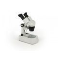Microscope Stereo Microscope