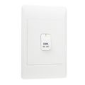 White faceplate
