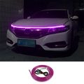 Purple Light