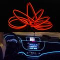 Red Light