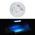 Ice Blue Light