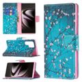 Plum Blossom