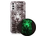 Leopard Tiger
