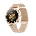 Gold Steel Watch Band