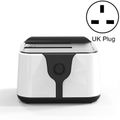 UK Plug