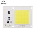 20W white