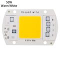 50W warm white