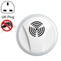 UK Plug