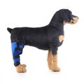 Blue Right Back Leg