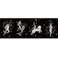 Constellation Girl 2