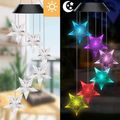 Black Shell Stars