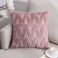 Pink Triangle