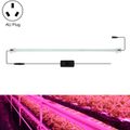 Pink Light AU Plug