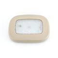 Beige Shell - White Light