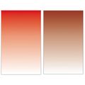 Red / Gold Brown