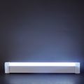 White Light