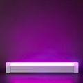 Purple Light