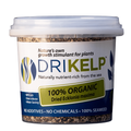 1kg Kelp