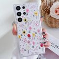 F01 Love of Butterfly
