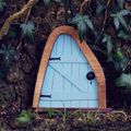 Oval Door (Blue