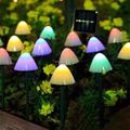 Colorful Light