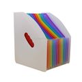 White Surface (Rainbow Inner Page