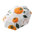 Persimmon