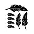 Black Feathers