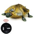 Tortoise(Yellow)
