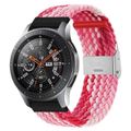 Z Red Pink