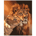 African Lion
