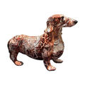 Brown Pattern Print