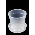 12cm pot + saucer