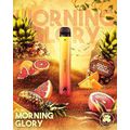 Morning Glory