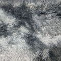 Light Grey White
