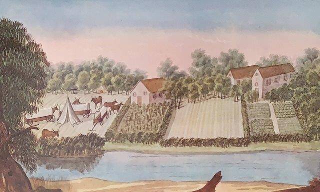 Francois Le Vaillant - Traveller in South Africa, 2 Vols (deluxe leatherbound limited edition)