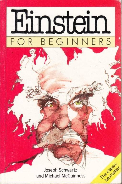 Einstein for Beginners - Joseph Schwartz