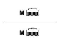Hpe Ethernet 14Ft Cat5E Rj45 M M Cable