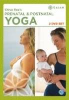 Shiva Rea's Prenatal and Postnatal Yoga (DVD)